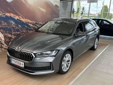 Annonce SKODA SUPERB Diesel 2024 d'occasion 