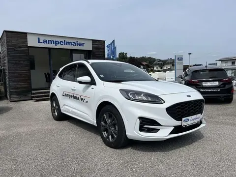 Used FORD KUGA Diesel 2023 Ad 