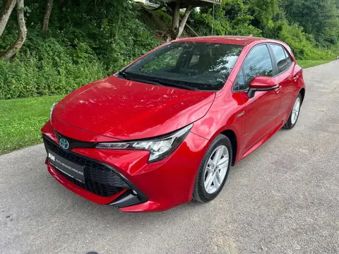 Used TOYOTA COROLLA Petrol 2019 Ad 