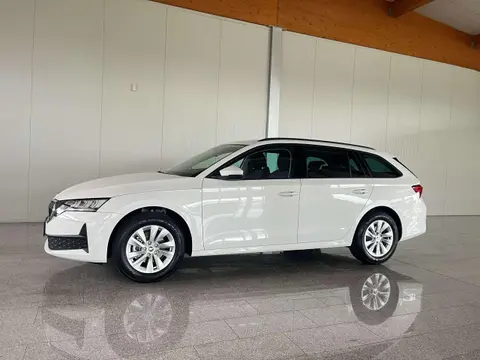 Annonce SKODA OCTAVIA Essence 2024 d'occasion 