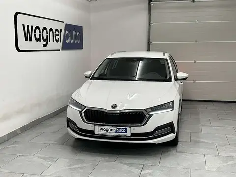 Used SKODA OCTAVIA Diesel 2023 Ad 