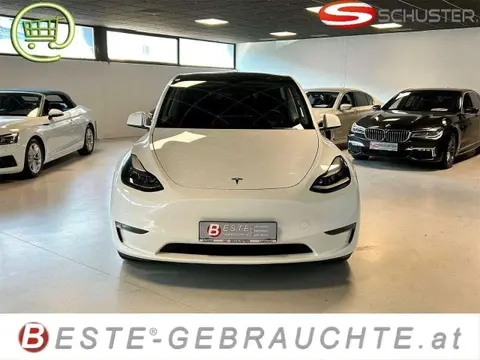 Used TESLA MODEL Y Electric 2022 Ad 