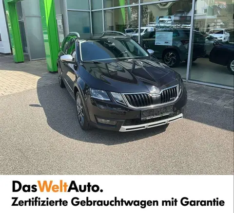 Used SKODA OCTAVIA Diesel 2019 Ad 