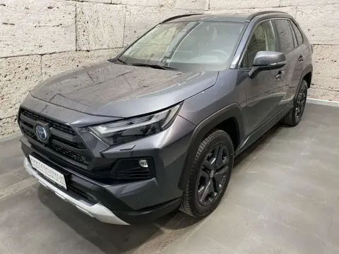 Used TOYOTA RAV4 Hybrid 2023 Ad 