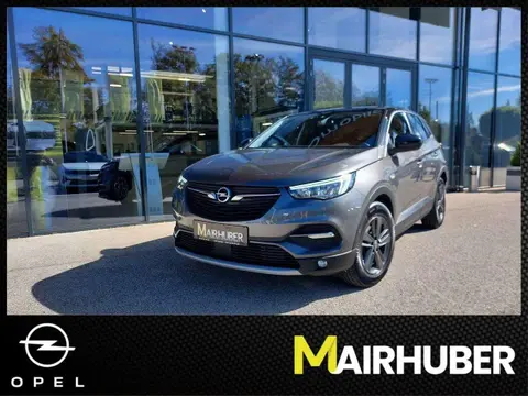 Used OPEL GRANDLAND Petrol 2021 Ad 