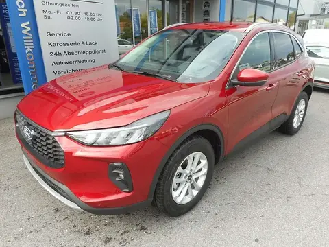 Used FORD KUGA Petrol 2024 Ad 