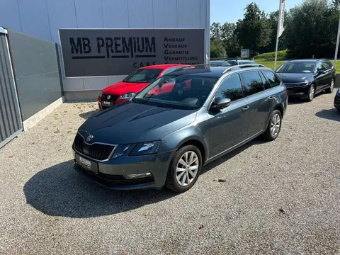 Annonce SKODA OCTAVIA Diesel 2019 d'occasion 