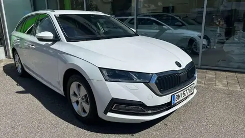 Used SKODA OCTAVIA Diesel 2024 Ad 