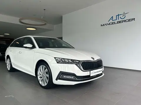 Annonce SKODA OCTAVIA Hybride 2021 d'occasion 