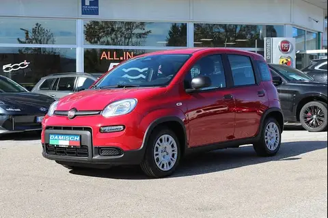 Annonce FIAT PANDA Essence 2024 d'occasion 