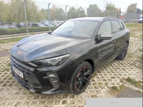 Used CUPRA ATECA Hybrid 2024 Ad 