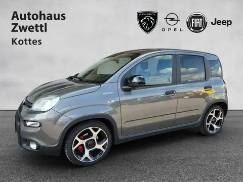 Annonce FIAT PANDA Essence 2022 d'occasion 