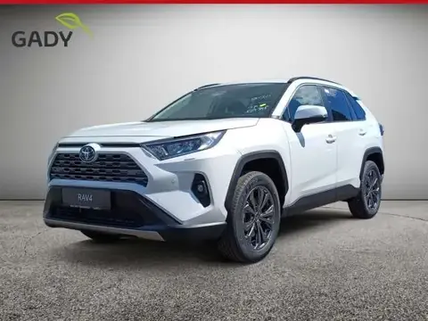 Used TOYOTA RAV4 Hybrid 2024 Ad 