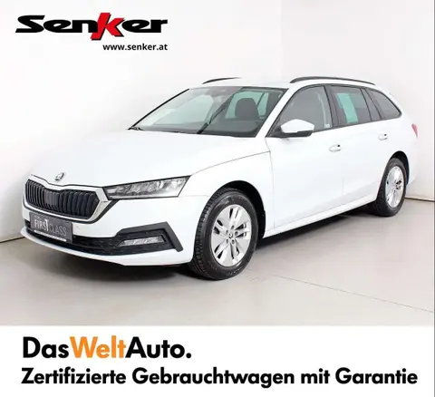 Used SKODA OCTAVIA Diesel 2023 Ad 