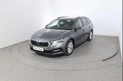 Used SKODA OCTAVIA Diesel 2023 Ad 