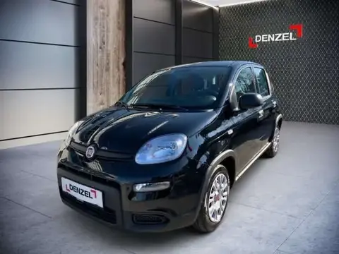 Used FIAT PANDA Hybrid 2024 Ad 