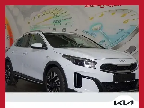 Used KIA XCEED Petrol 2024 Ad 