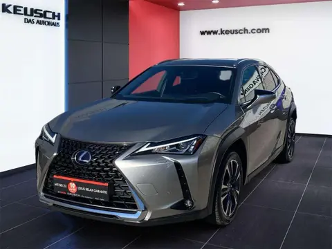 Used LEXUS UX Hybrid 2022 Ad 