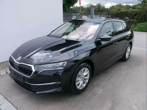 Used SKODA OCTAVIA Petrol 2024 Ad 