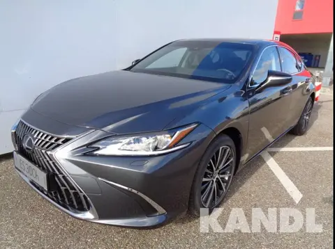 Used LEXUS ES Hybrid 2024 Ad 