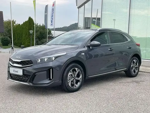 Annonce KIA XCEED Essence 2024 d'occasion 