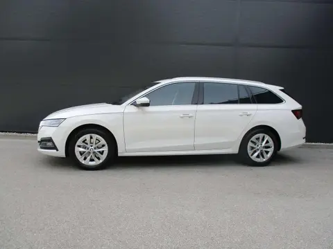 Used SKODA OCTAVIA Diesel 2024 Ad 