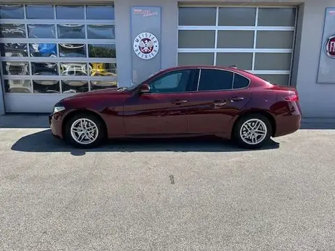 Used ALFA ROMEO GIULIA Diesel 2019 Ad 