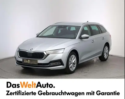 Annonce SKODA OCTAVIA Diesel 2024 d'occasion 