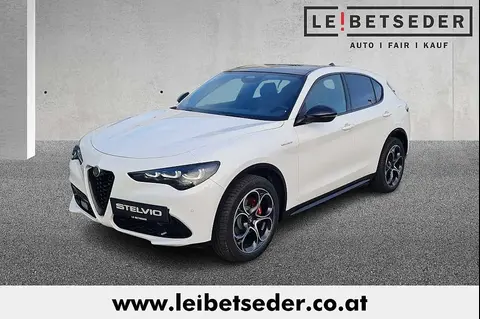 Used ALFA ROMEO STELVIO Diesel 2024 Ad 