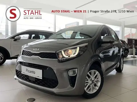 Used KIA PICANTO Petrol 2024 Ad 