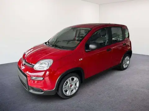 Annonce FIAT PANDA Essence 2024 d'occasion 