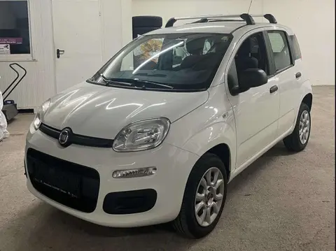 Used FIAT PANDA Petrol 2018 Ad 