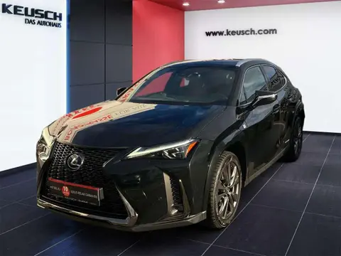 Used LEXUS UX Hybrid 2022 Ad 