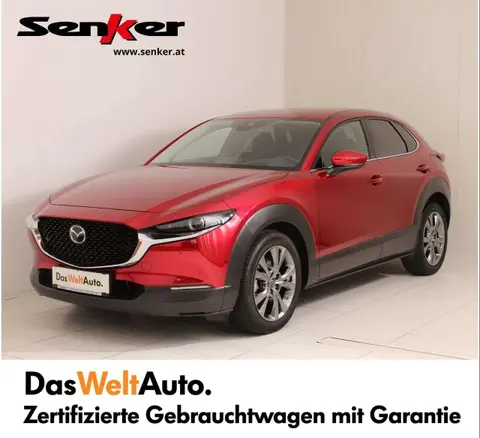 Used MAZDA CX-30 Petrol 2020 Ad 