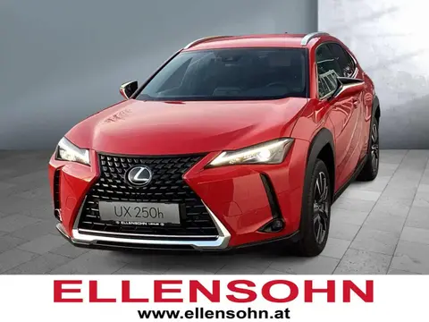 Used LEXUS UX Hybrid 2024 Ad 