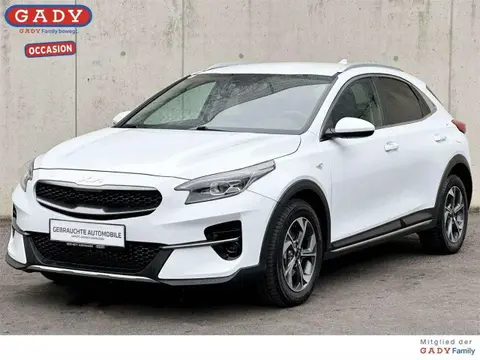 Used KIA XCEED Petrol 2022 Ad 