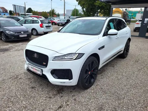 Used JAGUAR F-PACE Diesel 2016 Ad 