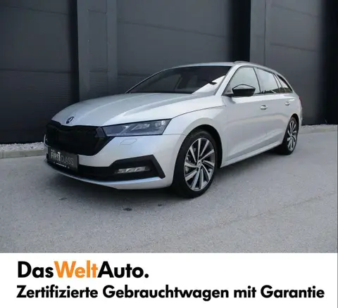 Annonce SKODA OCTAVIA Diesel 2024 d'occasion 