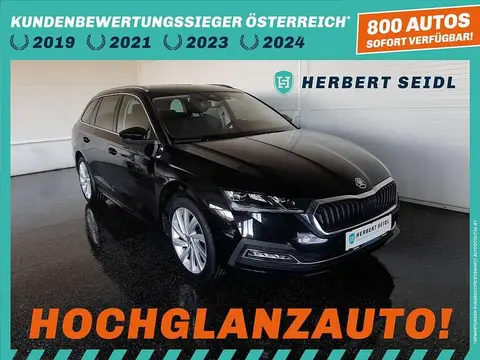 Used SKODA OCTAVIA Diesel 2020 Ad 