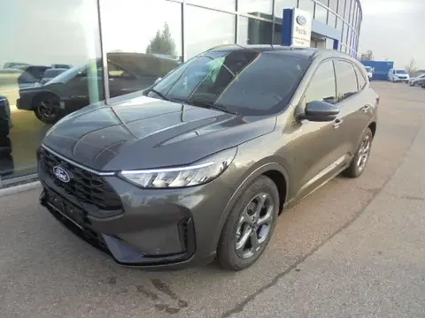 Used FORD KUGA Petrol 2024 Ad 