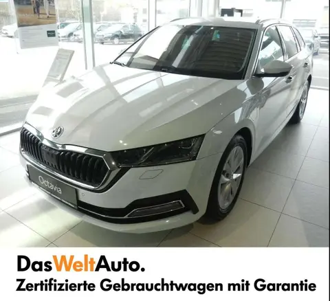 Used SKODA OCTAVIA Hybrid 2024 Ad 