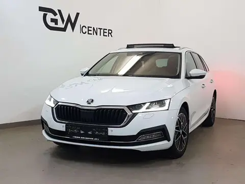 Used SKODA OCTAVIA Diesel 2020 Ad 