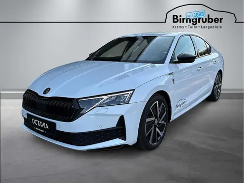 Annonce SKODA OCTAVIA Essence 2024 d'occasion 