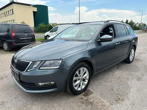 Annonce SKODA OCTAVIA Diesel 2020 d'occasion 