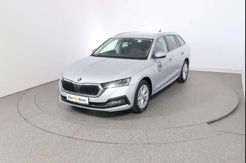 Annonce SKODA OCTAVIA Diesel 2024 d'occasion 