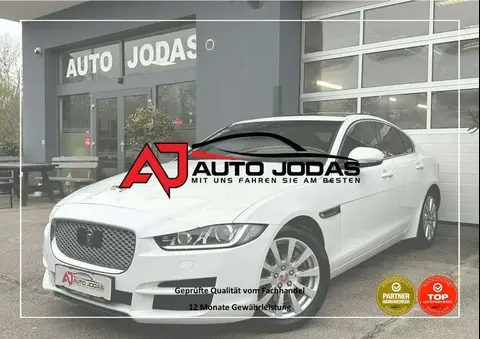 Used JAGUAR XE Diesel 2015 Ad 