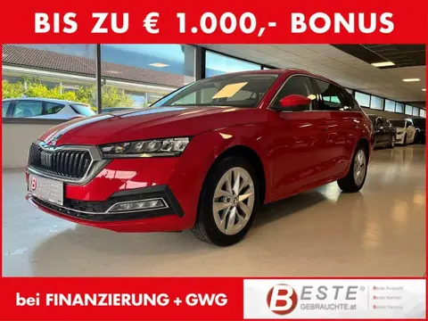 Annonce SKODA OCTAVIA Diesel 2023 d'occasion 