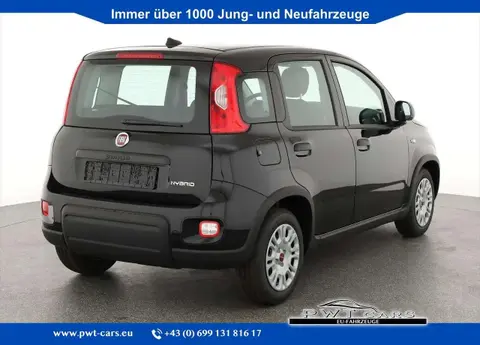 Annonce FIAT PANDA Essence 2024 d'occasion 