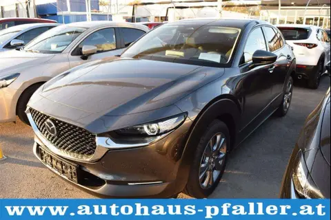 Annonce MAZDA CX-30 Essence 2024 d'occasion 