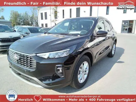 Used FORD KUGA Petrol 2024 Ad 